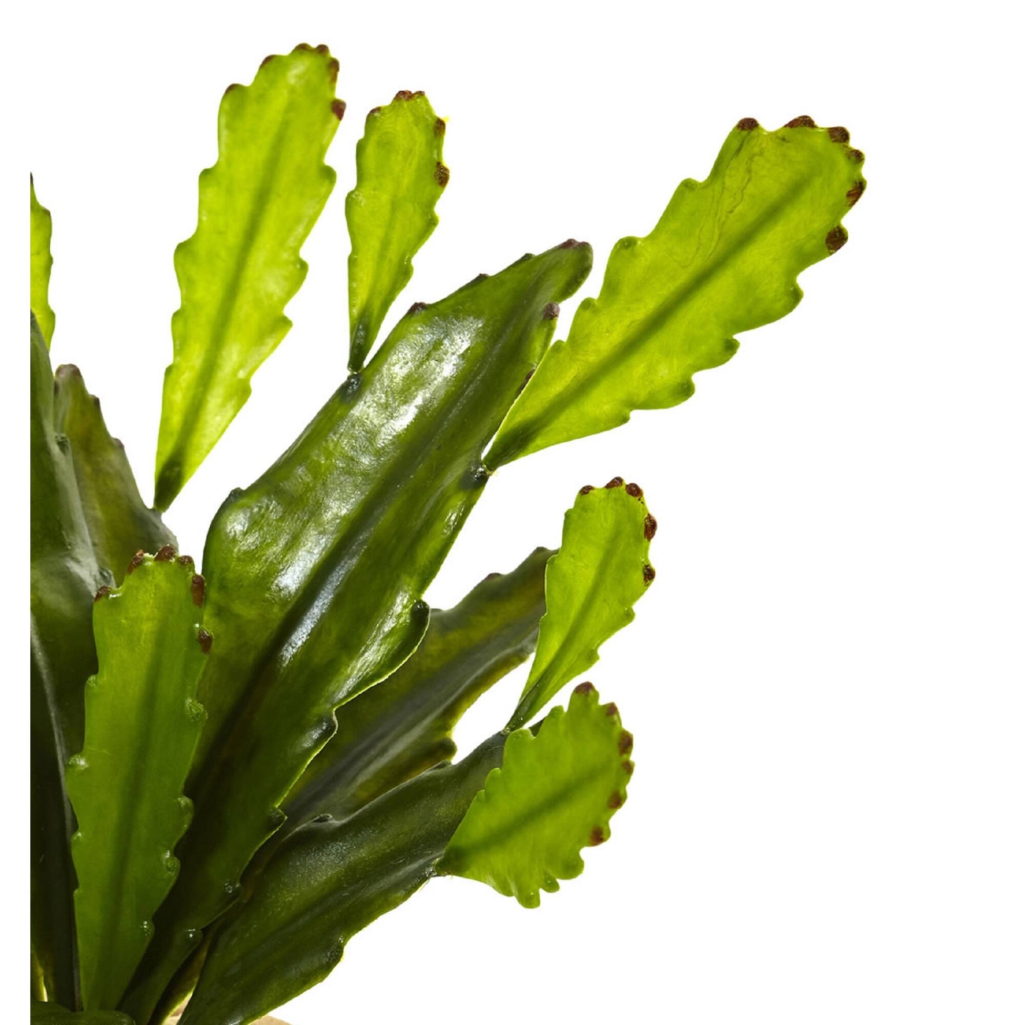 13" Cactus in Glazed Clay Pot